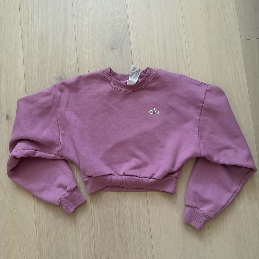 Euc ALO Accolade Cropped Sweatshirt - small
